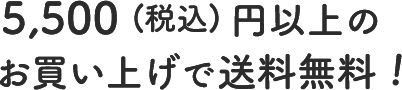 5,000円(税抜)以上のお買い上げで送料無料